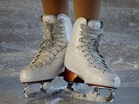 Hình 1: Thiết kế của giày trượt băng.